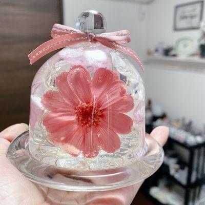 ジェルフラワーライト J Rose Gel Flower Light